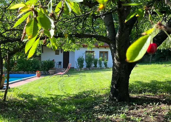 Buzavirag Apartman