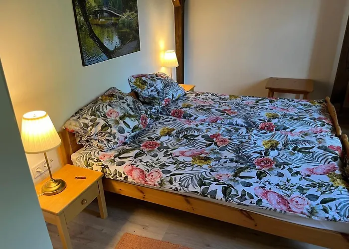Buzavirag Apartman