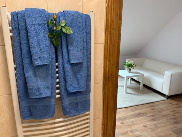 Buzavirag Apartman